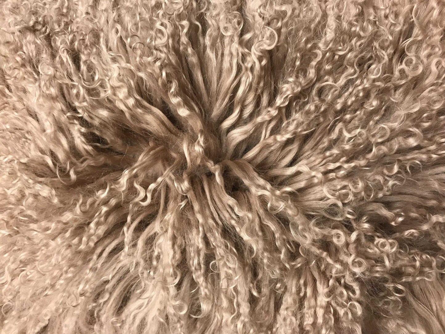 17" Beige Genuine Tibetan Lamb Fur Pillow With Microsuede Backing - Homeroots - Flyclothing LLC