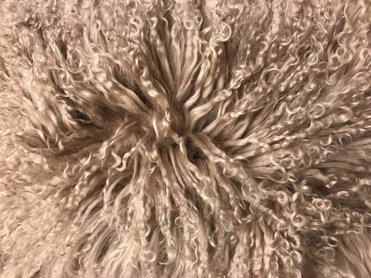 24" Beige Genuine Tibetan Lamb Fur Pillow With Microsuede Backing - Homeroots - Flyclothing LLC