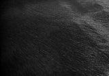 6 Ft Natural Black Brindled Cowhide Rug - Homeroots