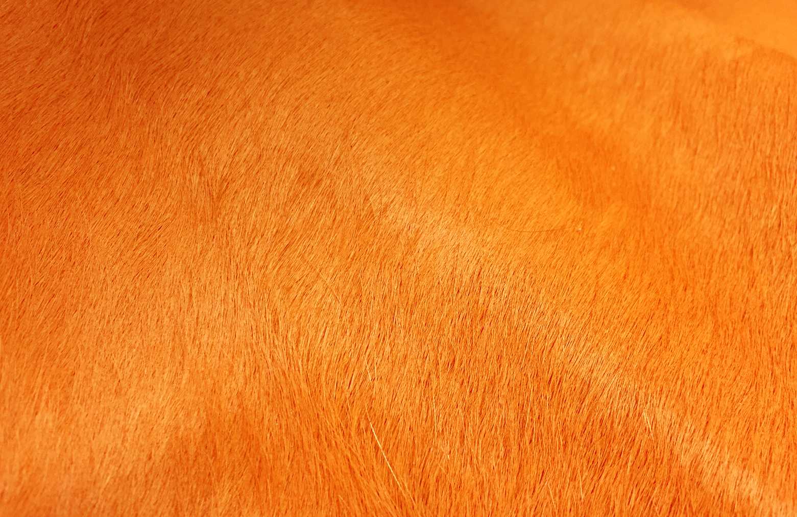 6 Ft Vibrant Orange Stenciled Cowhide Rug - Homeroots - Flyclothing LLC