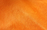 6 Ft Vibrant Orange Stenciled Cowhide Rug - Homeroots