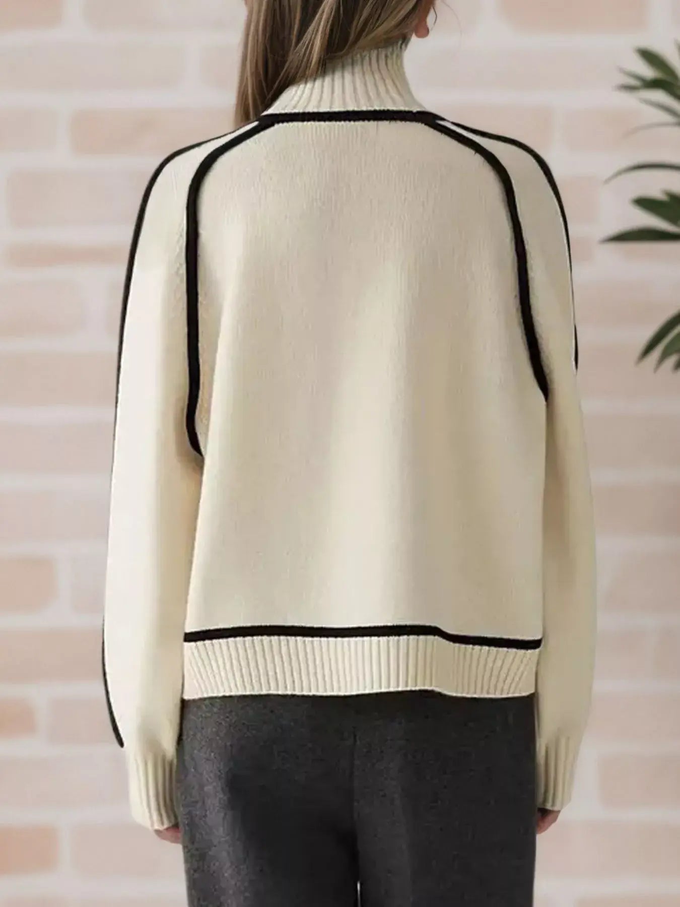 Contrast Trim Turtleneck Sweater - Trendsi - Flyclothing LLC