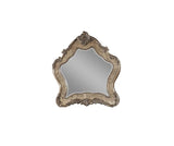 48" Vintage Oak Irregular Framed Mirror - Homeroots