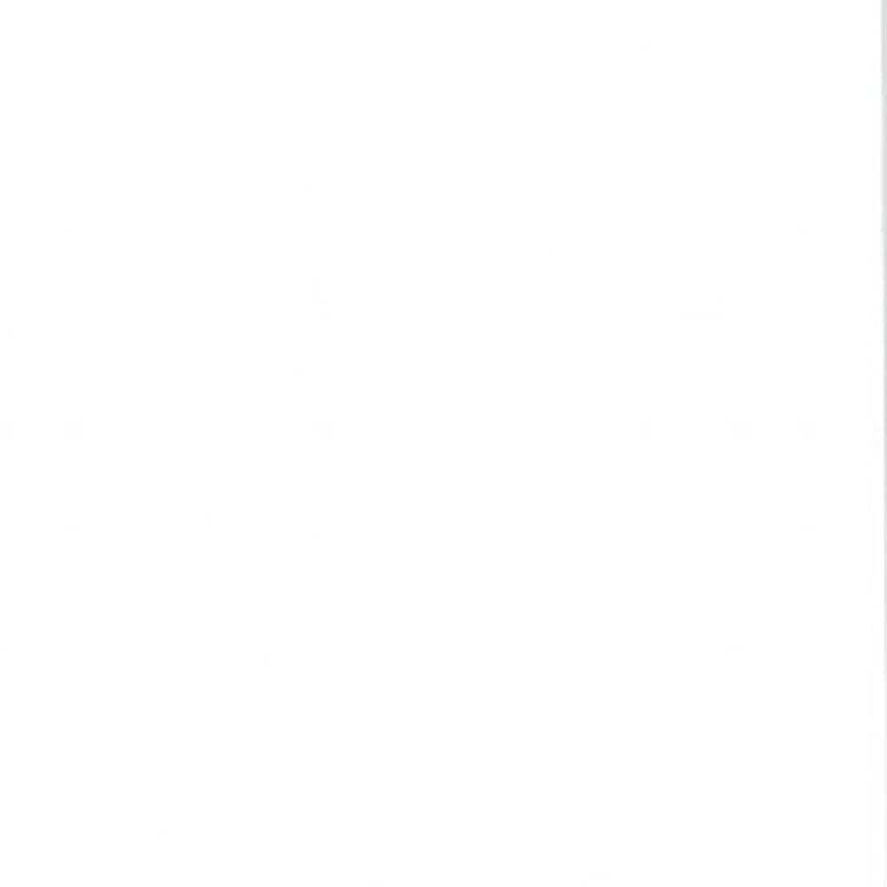 Twin White Canopy Bed - Homeroots - Flyclothing LLC