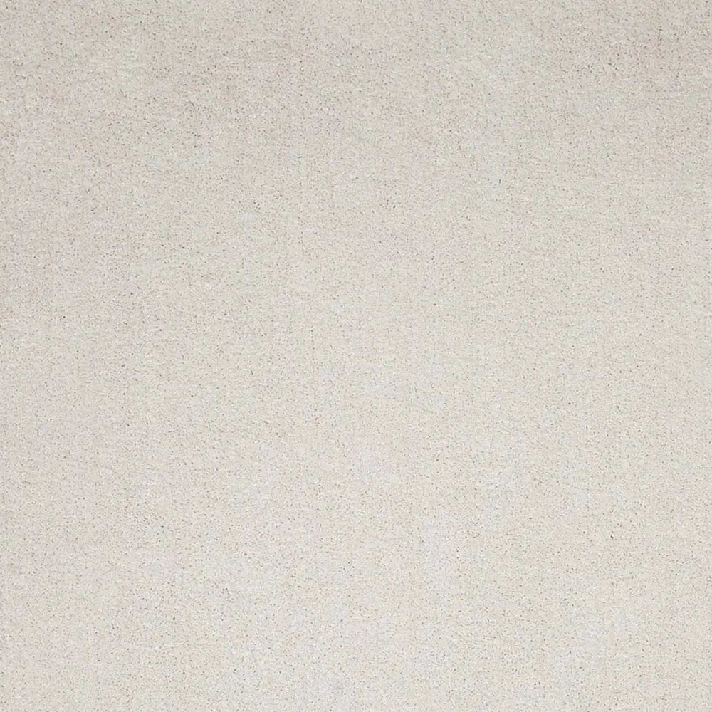 8' X 11' Ivory Indoor Shag Rug - Homeroots - Flyclothing LLC