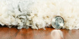 8' X 13' Ivory Area Rug - Homeroots