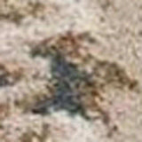 9' X 12' Slate Blue and Ivory Floral Area Rug - Homeroots - Flyclothing LLC