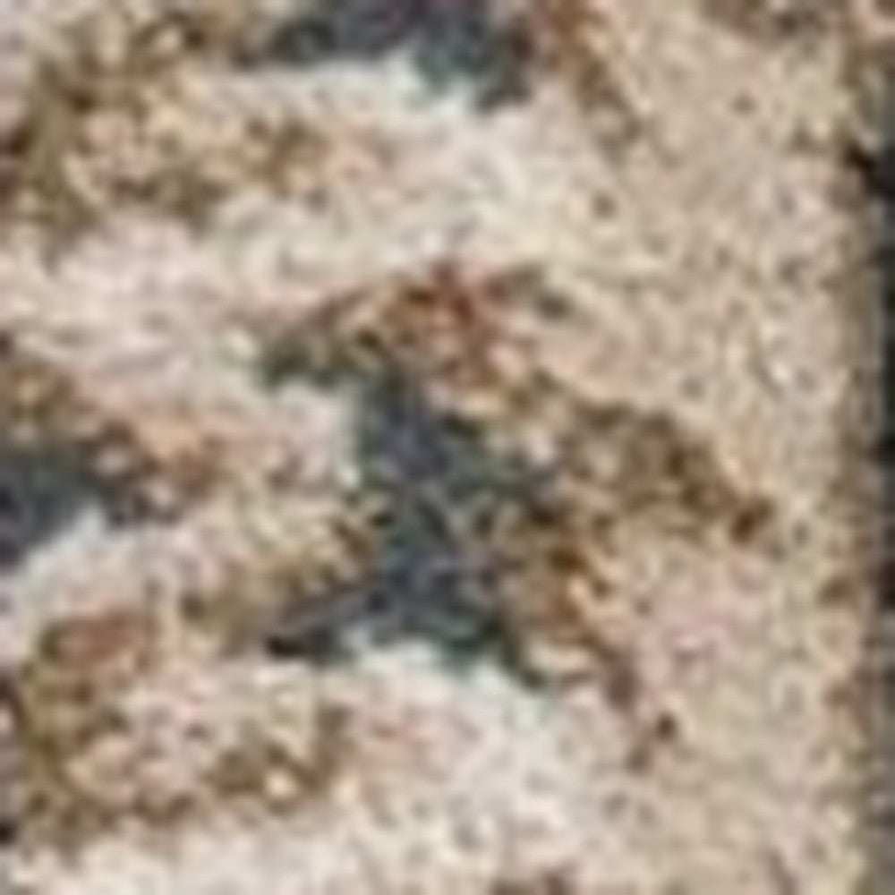 9' X 12' Slate Blue and Ivory Floral Area Rug - Homeroots - Flyclothing LLC