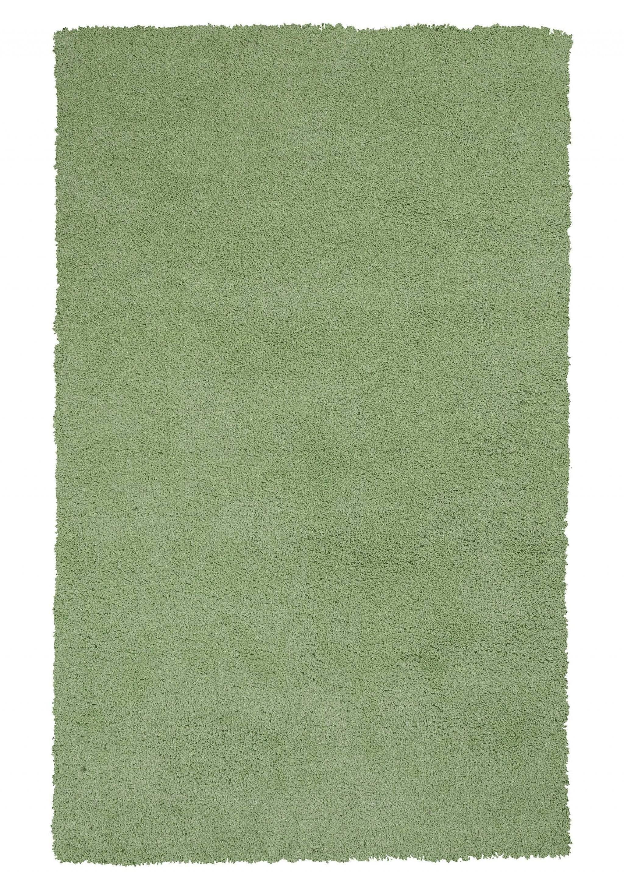 5' X 7' Spearmint Green Indoor Shag Rug - Homeroots - Flyclothing LLC
