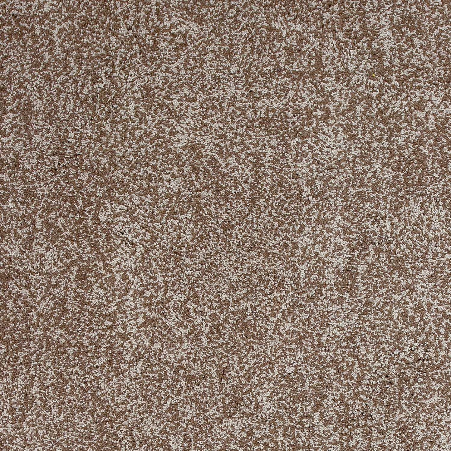 5' X 7' Beige Heather Indoor Shag Rug - Homeroots - Flyclothing LLC