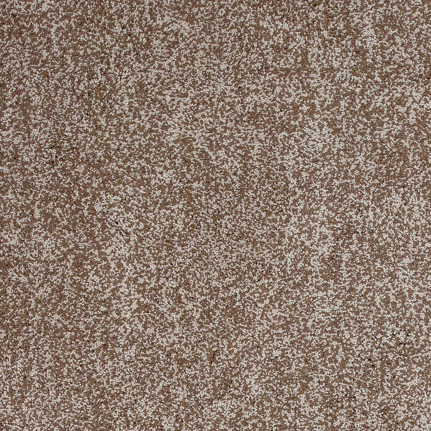 5' X 7' Beige Heather Indoor Shag Rug - Homeroots - Flyclothing LLC