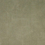 5' X 7' Sage Green Indoor Shag Rug - Homeroots - Flyclothing LLC