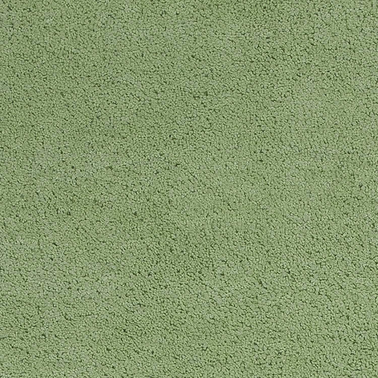 2' X 4' Spearmint Green Indoor Shag Rug - Homeroots - Flyclothing LLC