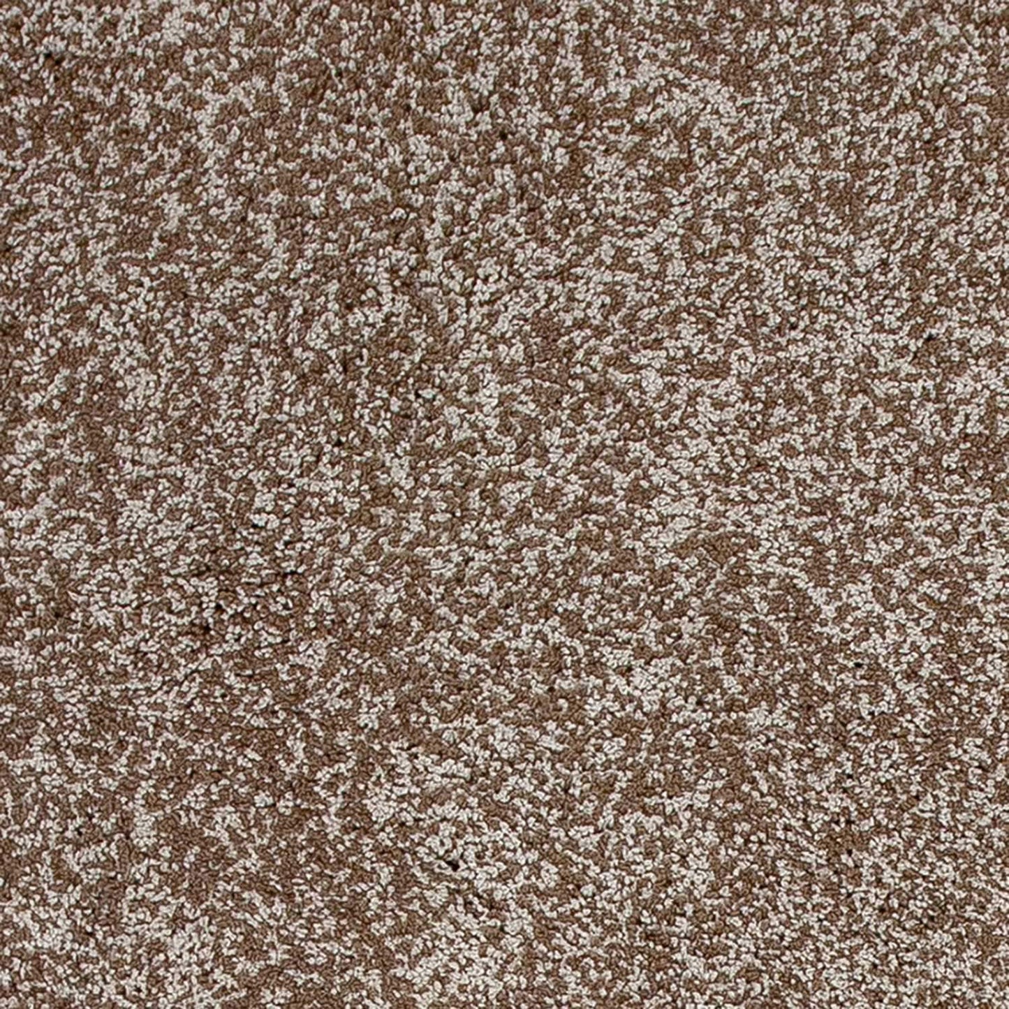 2' X 4' Beige Heather Indoor Shag Rug - Homeroots - Flyclothing LLC