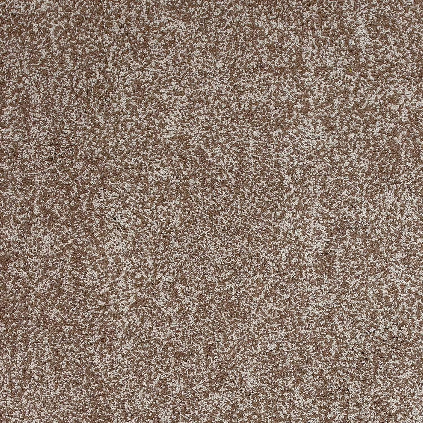 2' X 4' Beige Heather Indoor Shag Rug - Homeroots - Flyclothing LLC