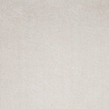2' X 4' Polyester Ivory Area Rug - Homeroots