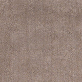 2' X 4' Beige Indoor Shag Rug - Homeroots - Flyclothing LLC