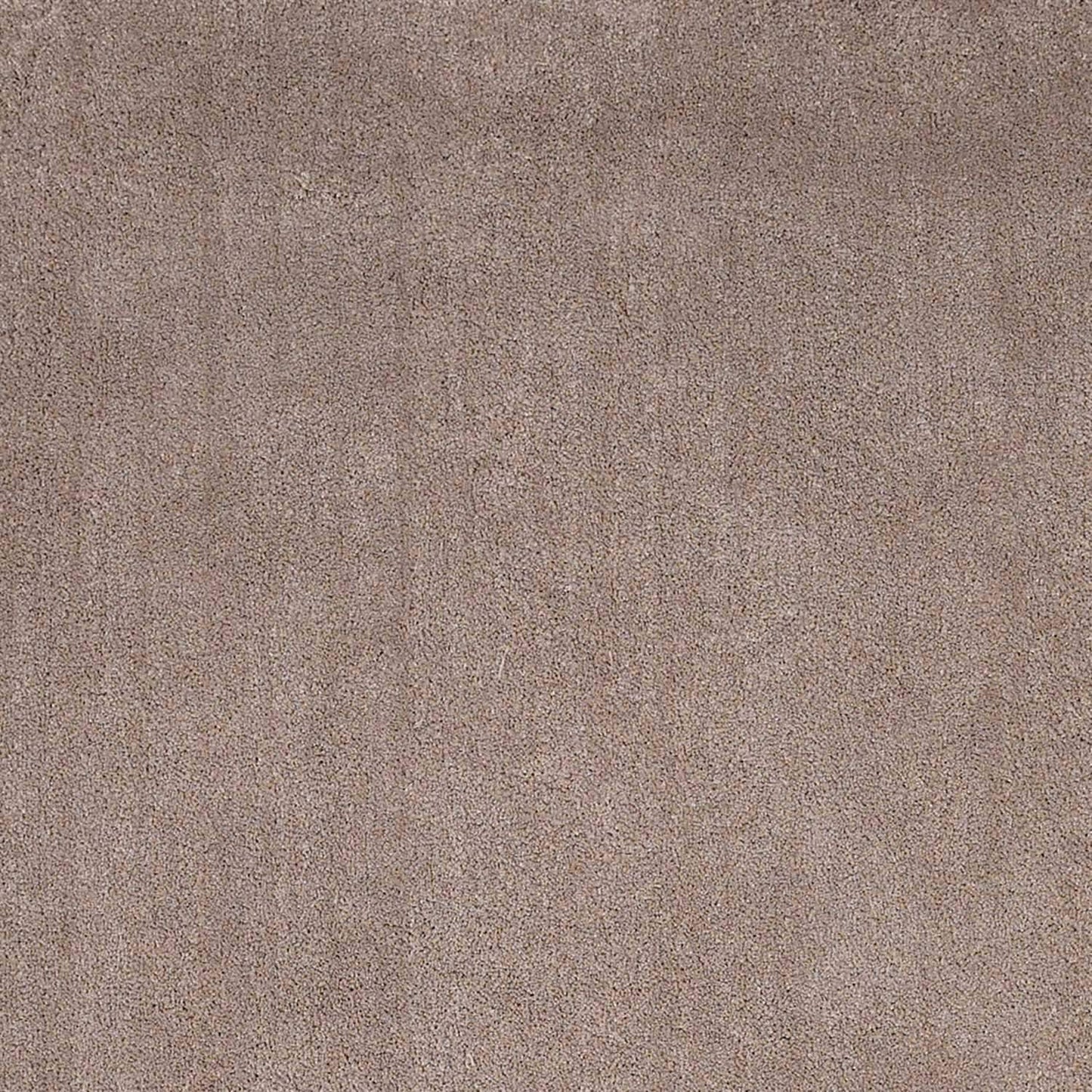 2' X 4' Beige Indoor Shag Rug - Homeroots - Flyclothing LLC