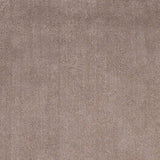 2' X 4' Beige Indoor Shag Rug - Homeroots - Flyclothing LLC