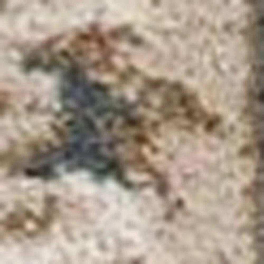 3' X 5' Slate Blue Floral Area Rug - Homeroots - Flyclothing LLC