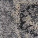 3' X 5' Gray Floral Area Rug - Homeroots - Flyclothing LLC