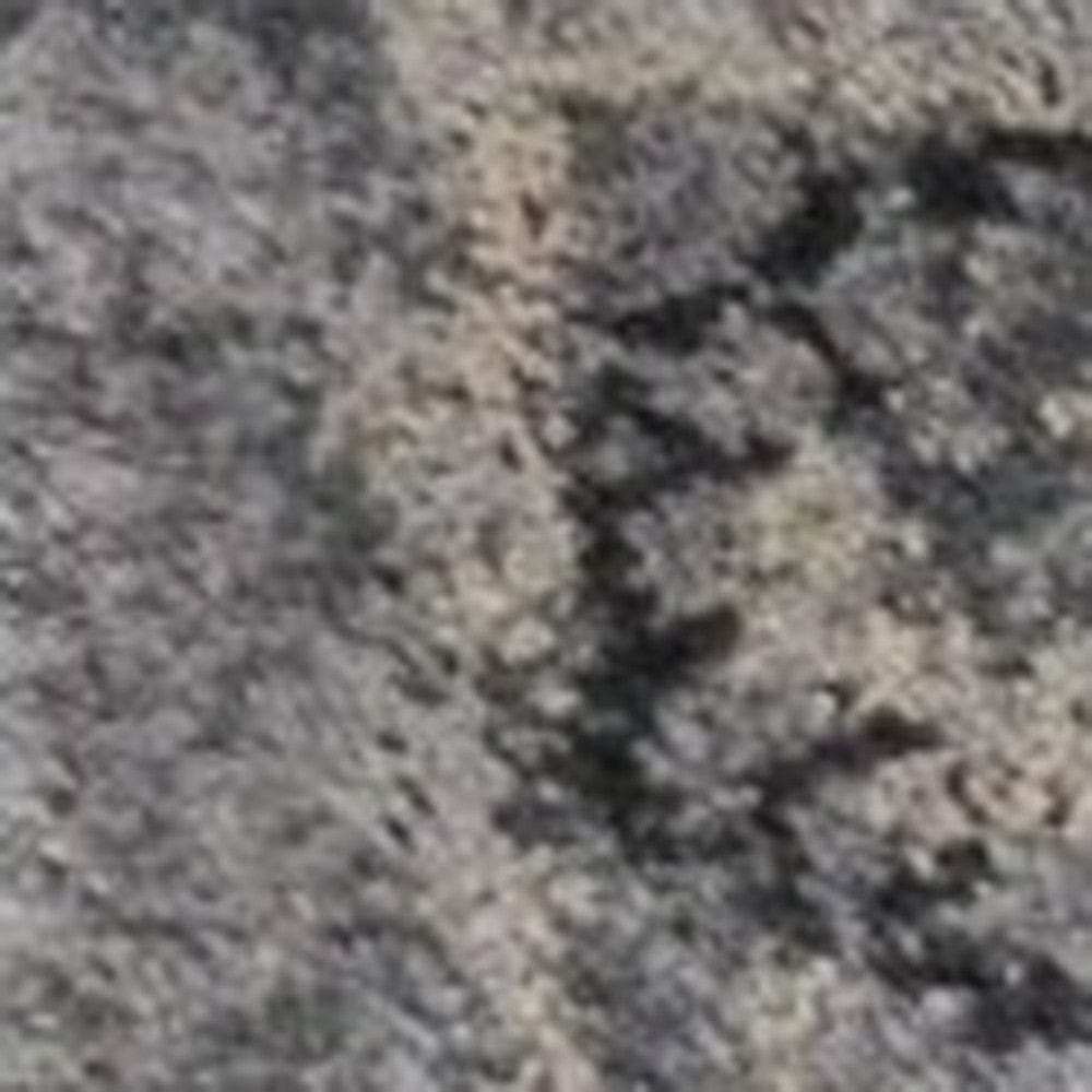 3' X 5' Gray Floral Area Rug - Homeroots - Flyclothing LLC