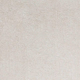 3' X 5' Ivory Plain Area Rug - Homeroots - Flyclothing LLC