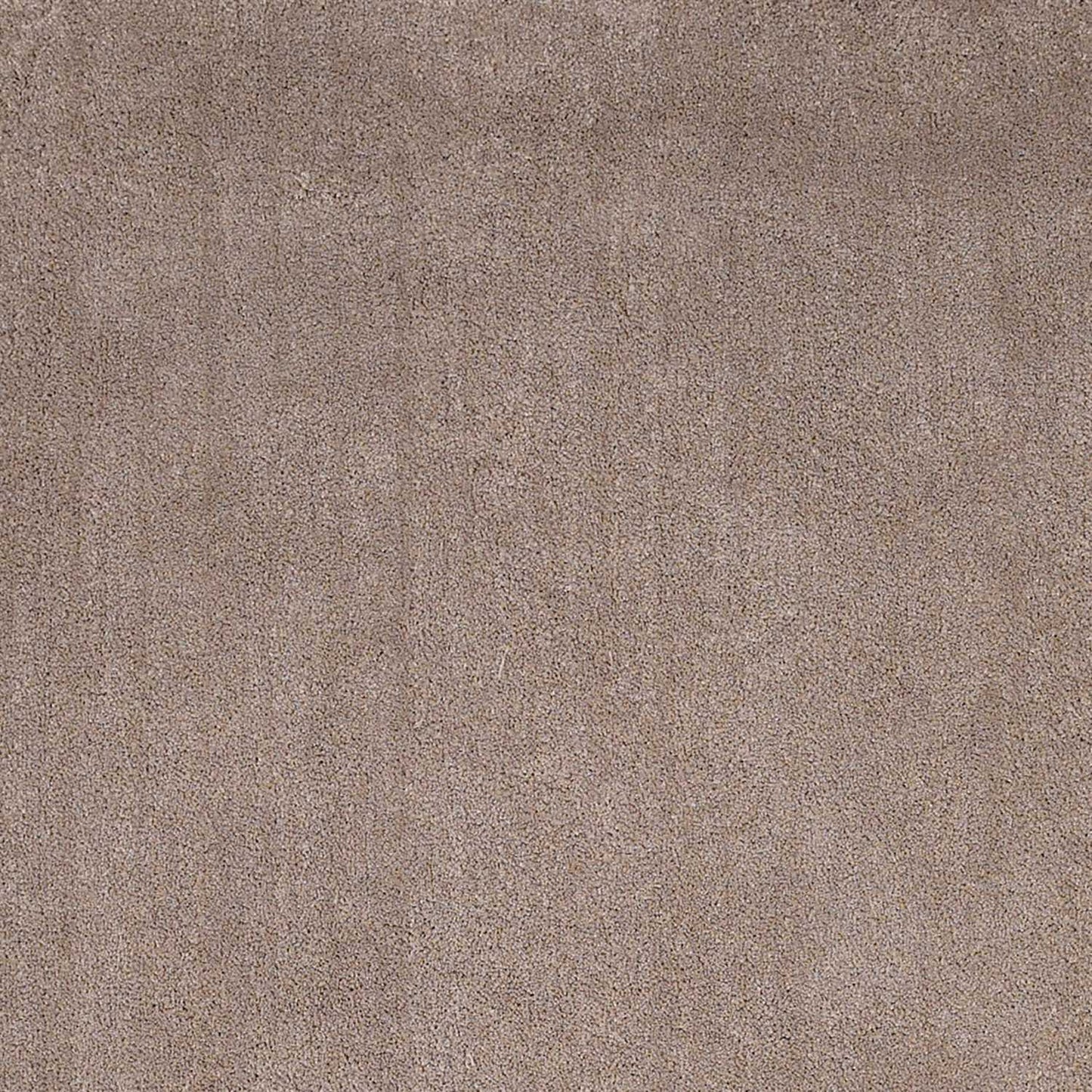 3' X 5' Beige Heather Indoor Shag Rug - Homeroots - Flyclothing LLC