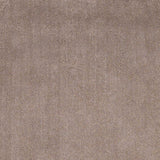 3' X 5' Beige Heather Indoor Shag Rug - Homeroots - Flyclothing LLC