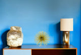8" Gold Metal Sea Urchin Spiky Sphere - Homeroots
