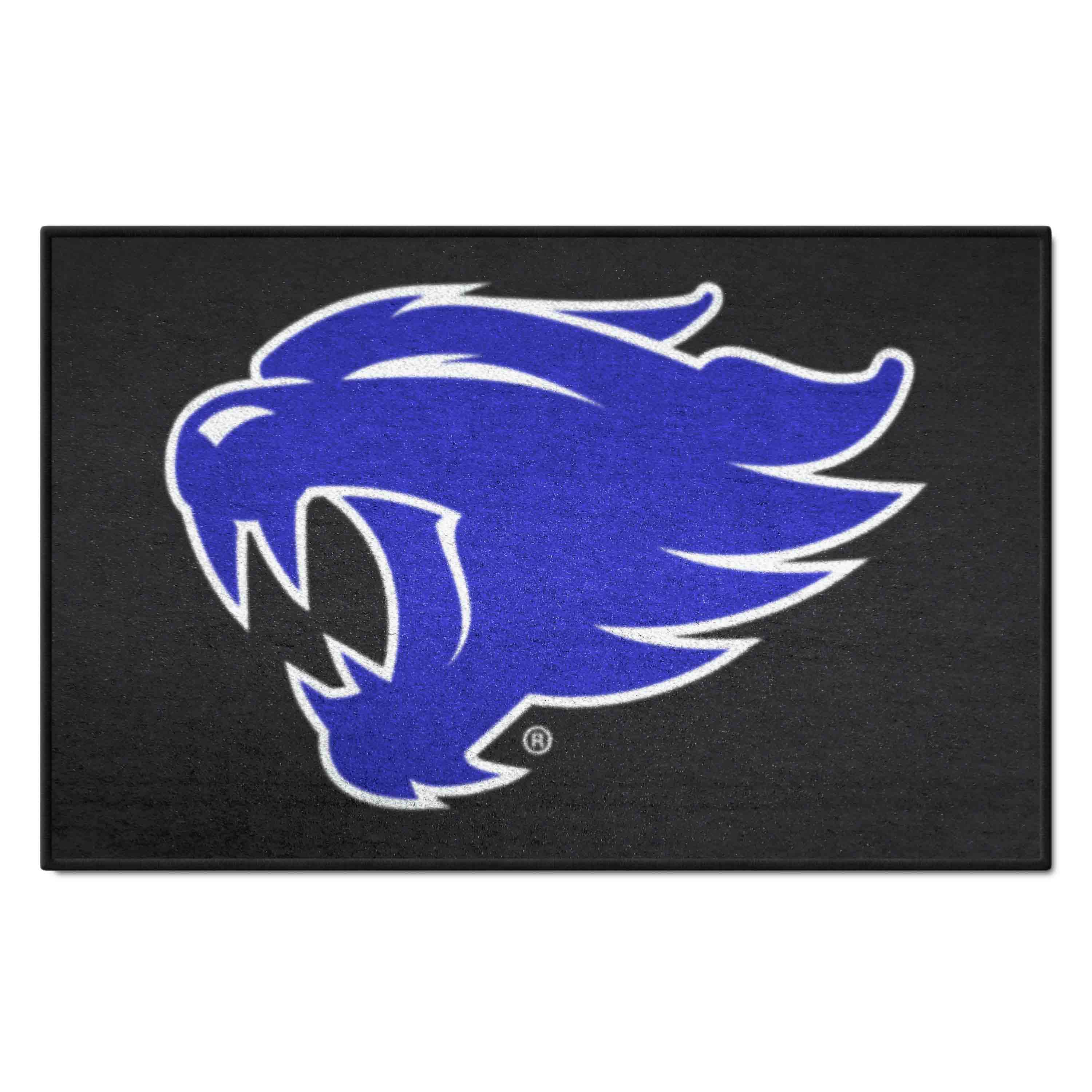 Kentucky Wildcats Starter Mat Accent Rug - 19in. x 30in. - Kentucky