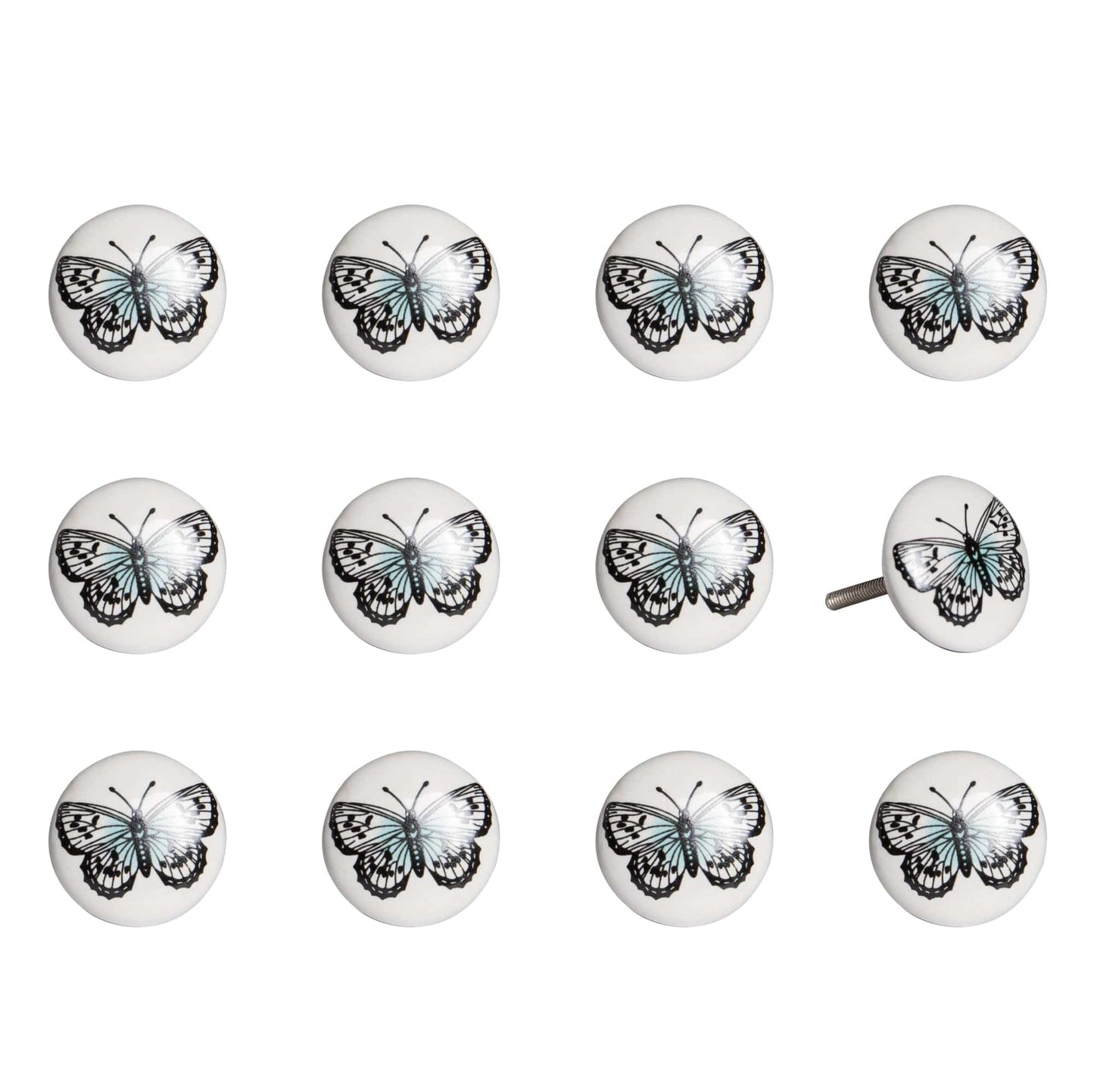 1.5" X 1.5" X 1.5" Ceramic Metal Multicolor 12 Pack Knob - Homeroots - Flyclothing LLC