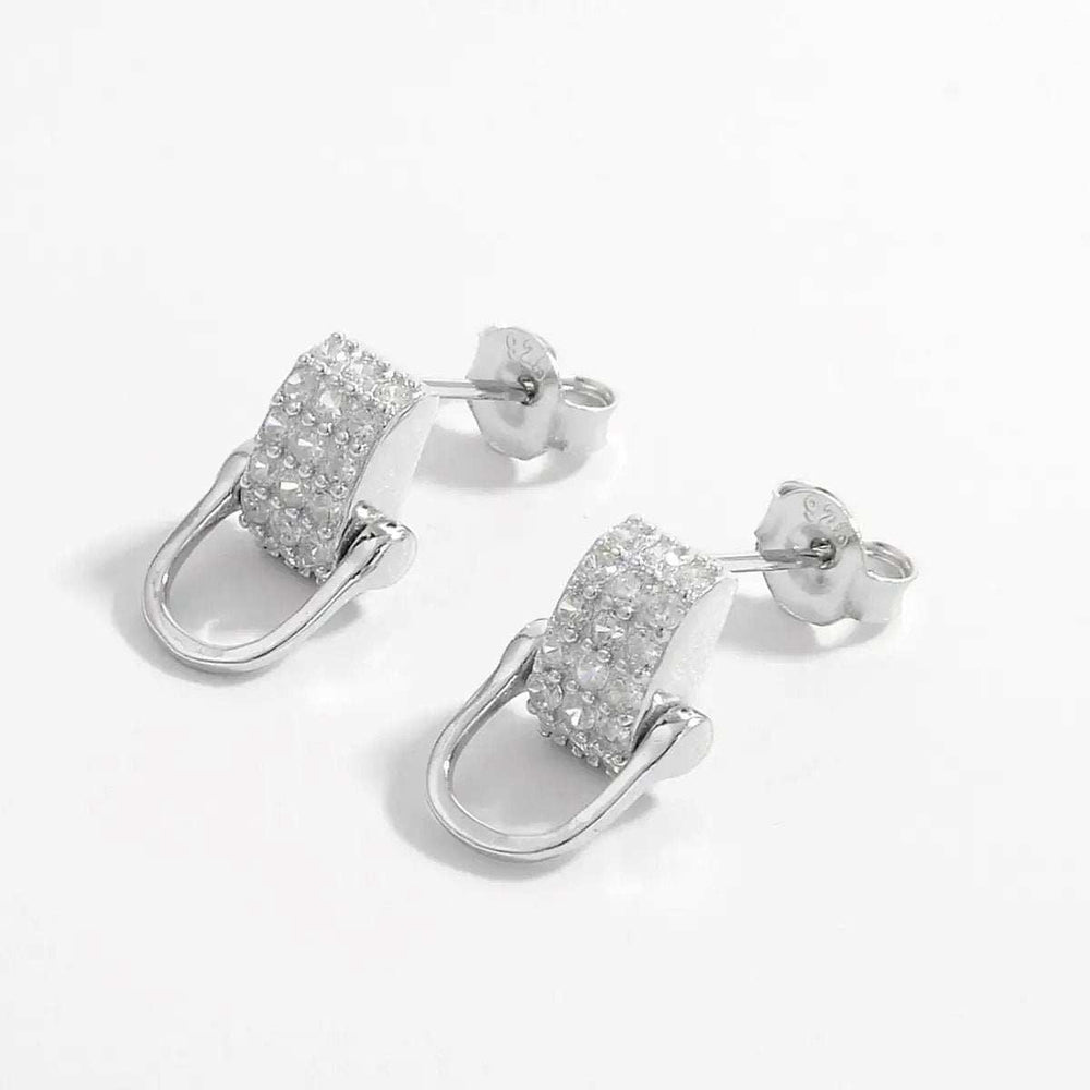 925 Sterling Silver Inlaid Zircon Earrings - Trendsi - Flyclothing LLC