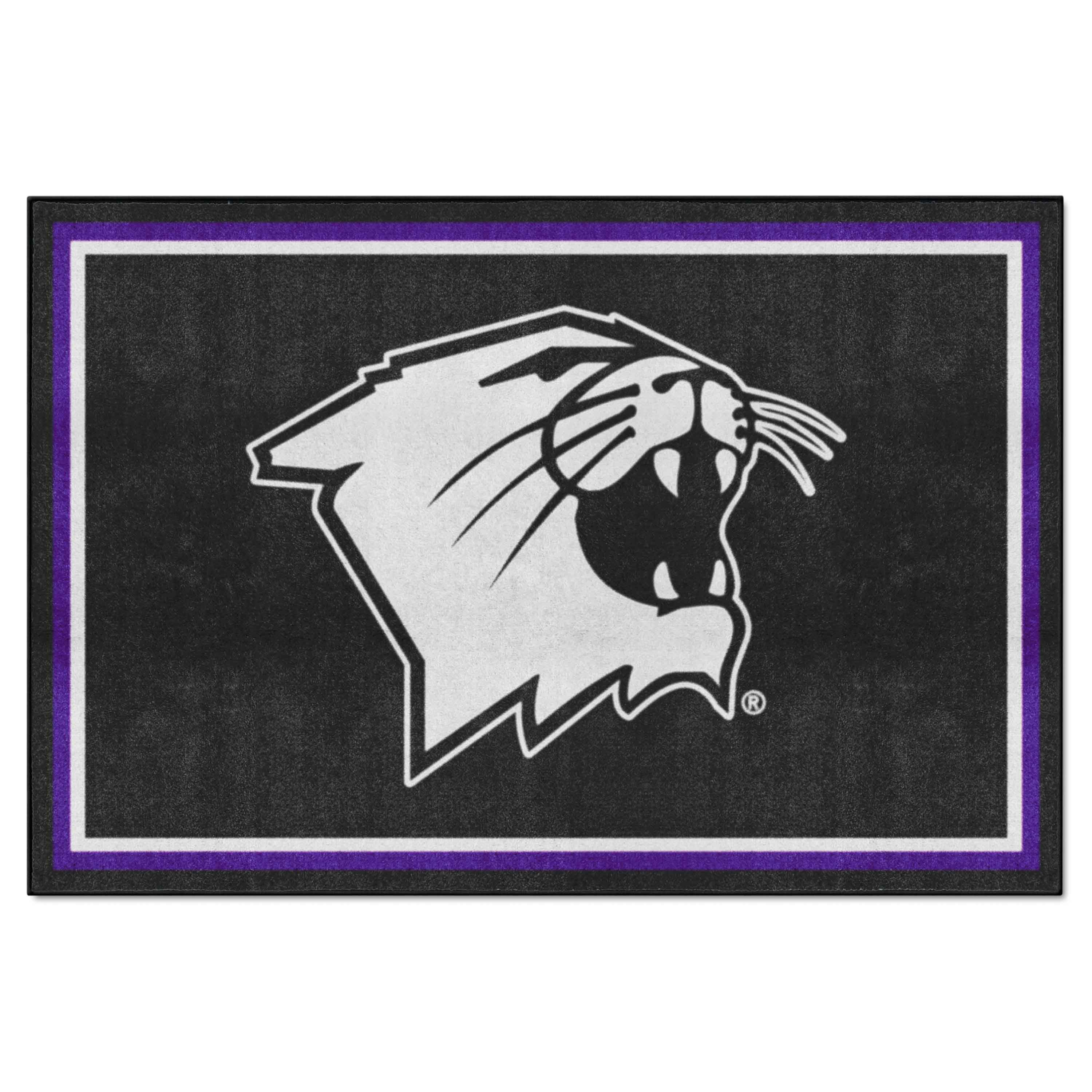 NorthwesternWildcats5ft. x 8 ft. Plush Area Rug - Northwestern