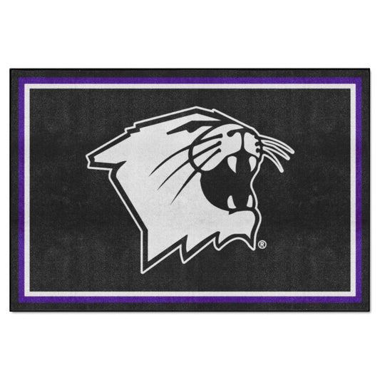 NorthwesternWildcats5ft. x 8 ft. Plush Area Rug - Northwestern