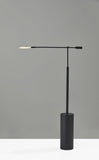 Three Color Adjustable Floor Lamp Black Metal Saucer Led - Homeroots