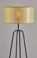 Open Cane Web Natural Shade Dark Bronze Table Lamp - Homeroots
