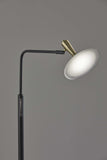 Adjustable Brass Spotlight Led Floor Lamp In Black Metal - Homeroots - Flyclothing LLC