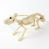 Halloween Decoration Artificial Animal Skeleton - My Store - Flyclothing LLC