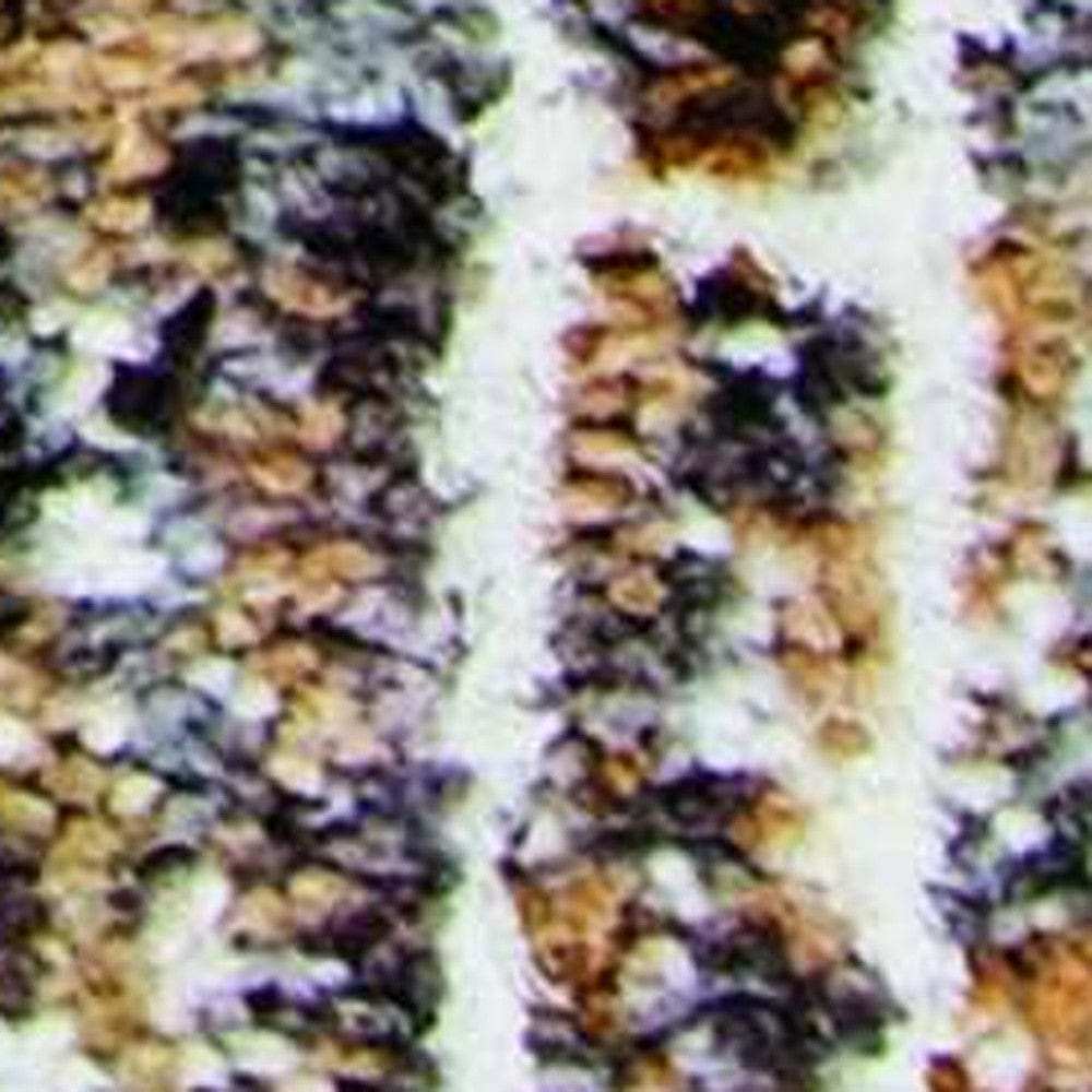 3' X 5' Brown White and Gray Geometric Area Rug With Fringe - Homeroots - Flyclothing LLC