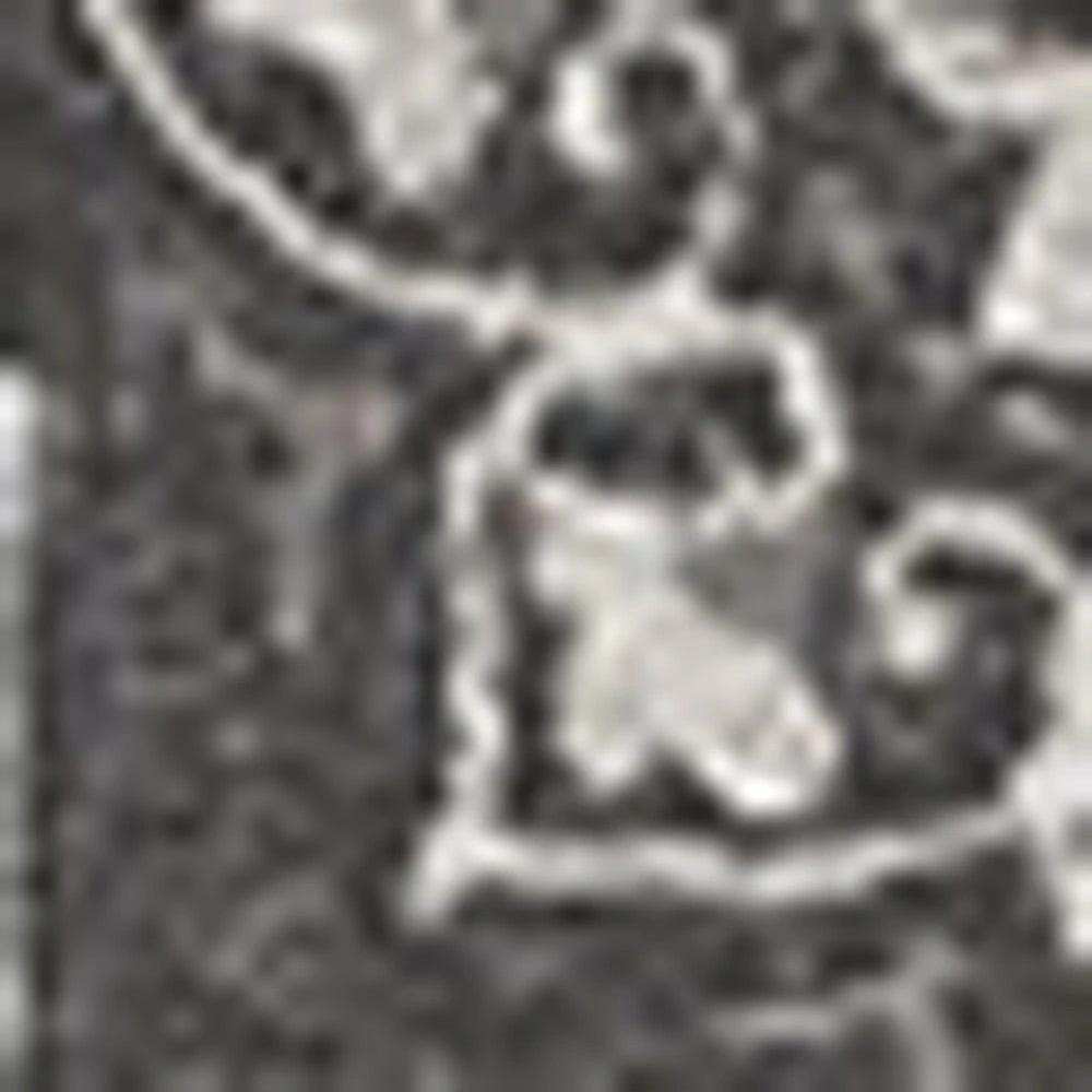 5' X 8' Charcoal Round Floral Handmade Indoor Outdoor Area Rug - Homeroots - Flyclothing LLC