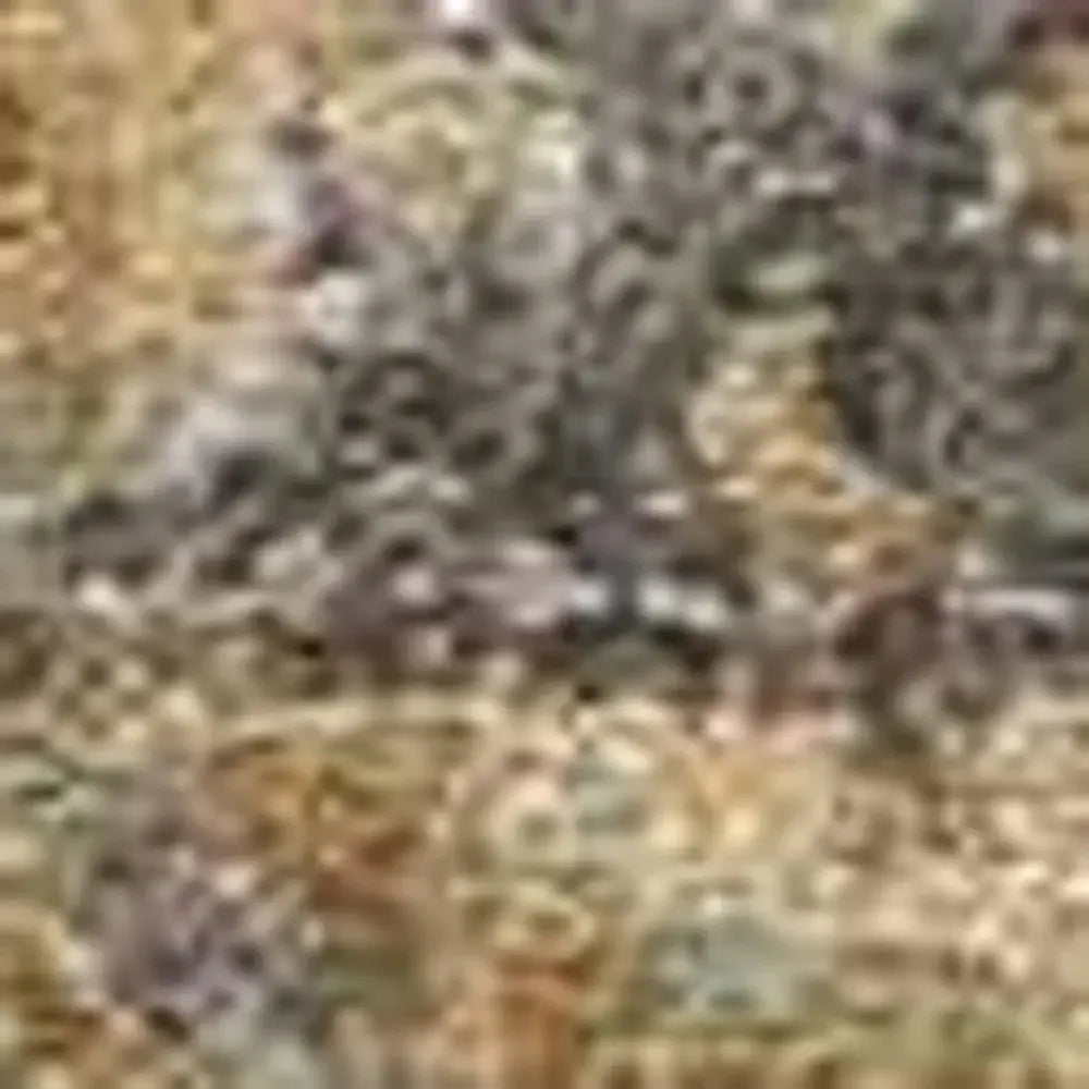 3' X 5' Coffee Brown Machine Woven Floral Medallion Indoor Area Rug - Homeroots - Flyclothing LLC