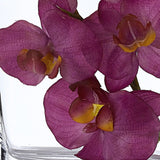65 Mouth Blown European Made Medium Glass Pocket Vase - Homeroots