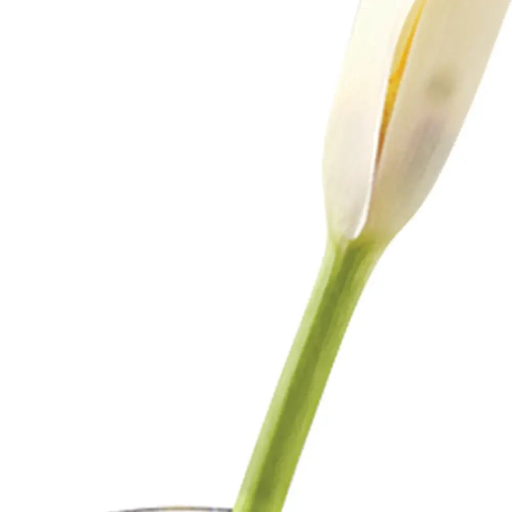 8 Mouth Blown Crystal Bud Vase - Homeroots - Flyclothing LLC