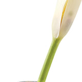 8 Mouth Blown Crystal Bud Vase - Homeroots