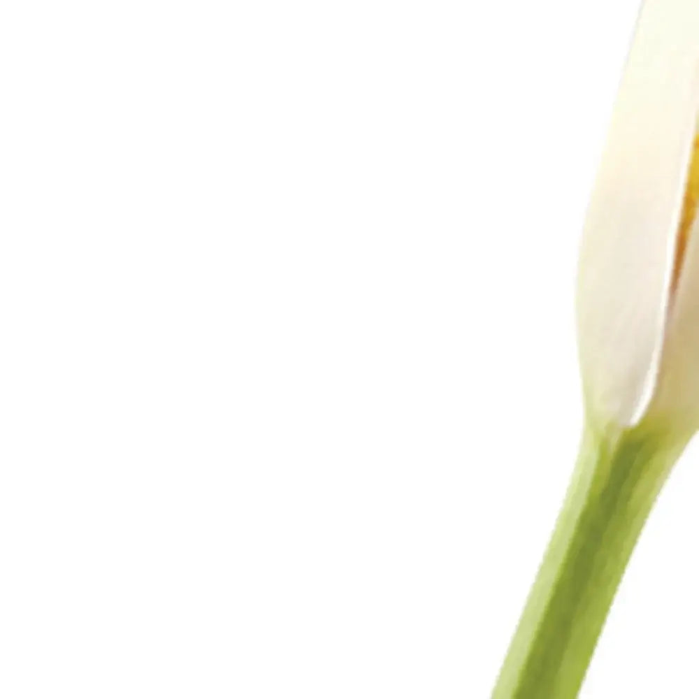 8 Mouth Blown Crystal Bud Vase - Homeroots - Flyclothing LLC