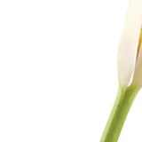 8 Mouth Blown Crystal Bud Vase - Homeroots