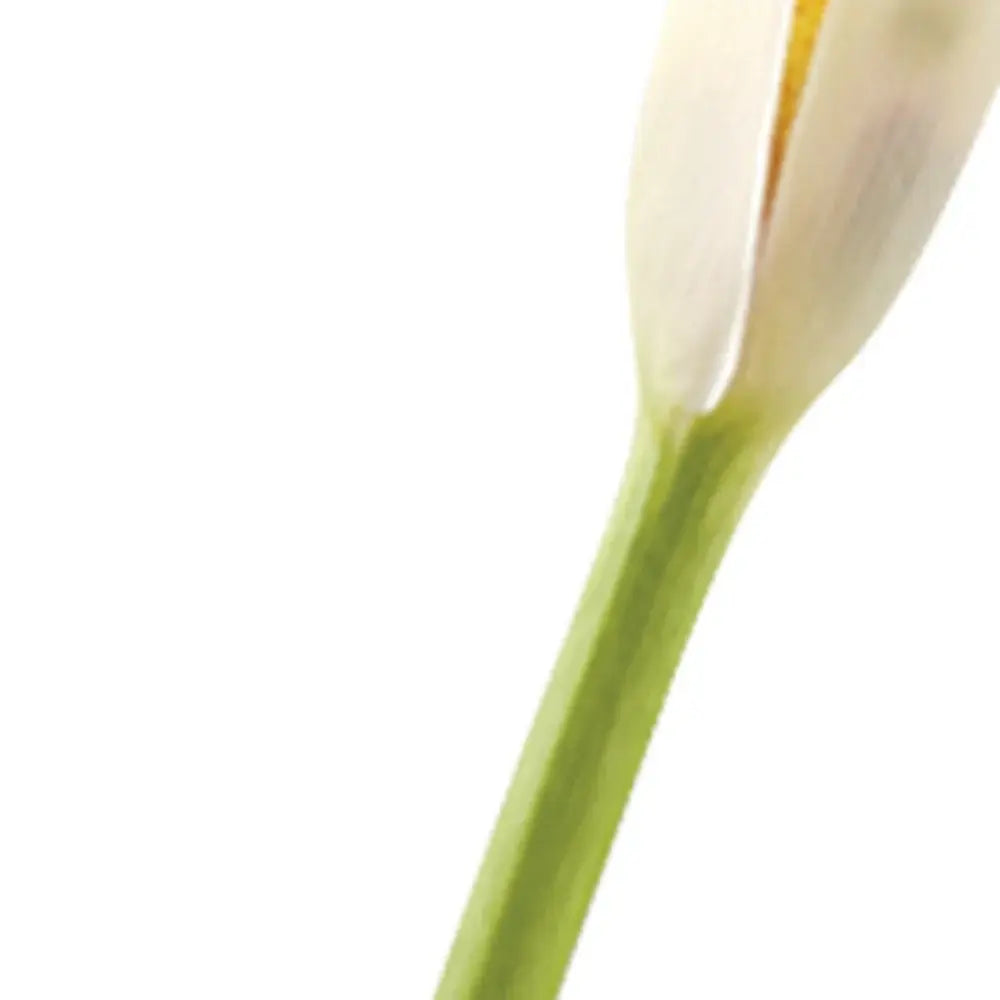 8 Mouth Blown Crystal Bud Vase - Homeroots - Flyclothing LLC