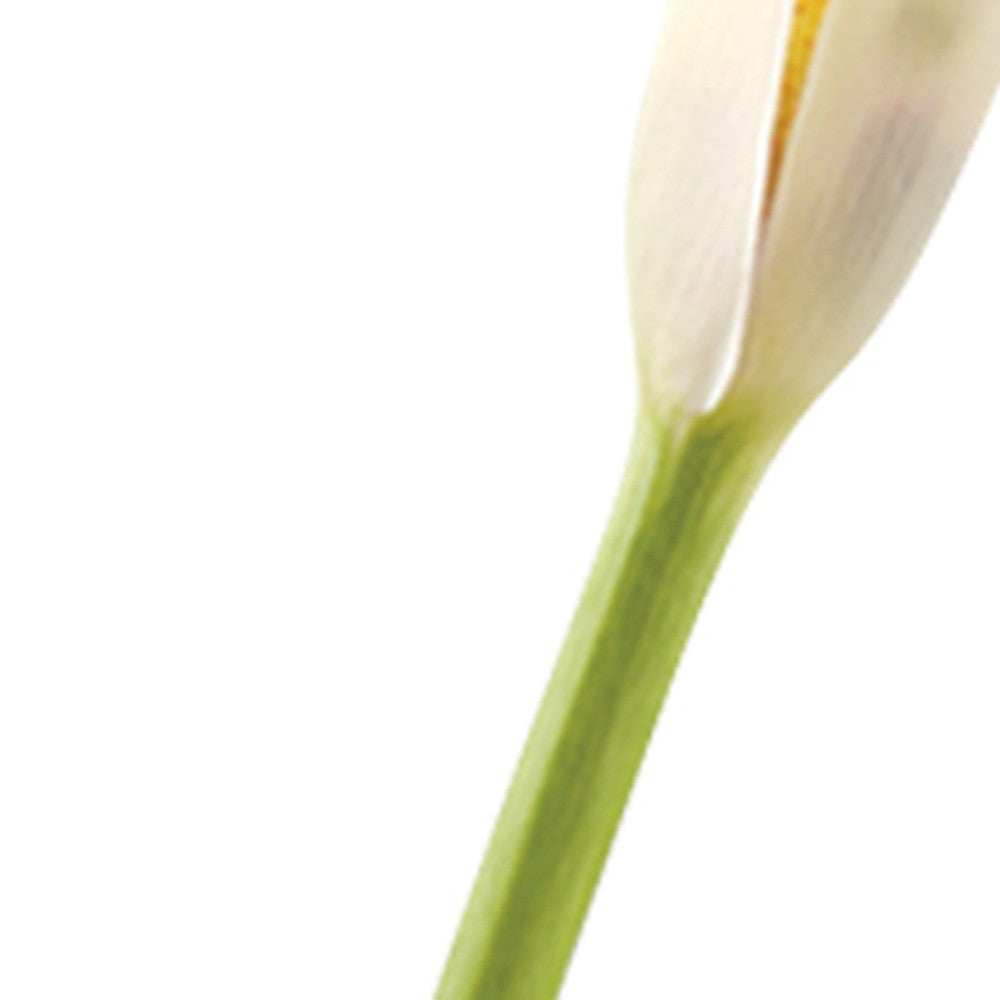 8 Mouth Blown Crystal Bud Vase - Homeroots - Flyclothing LLC