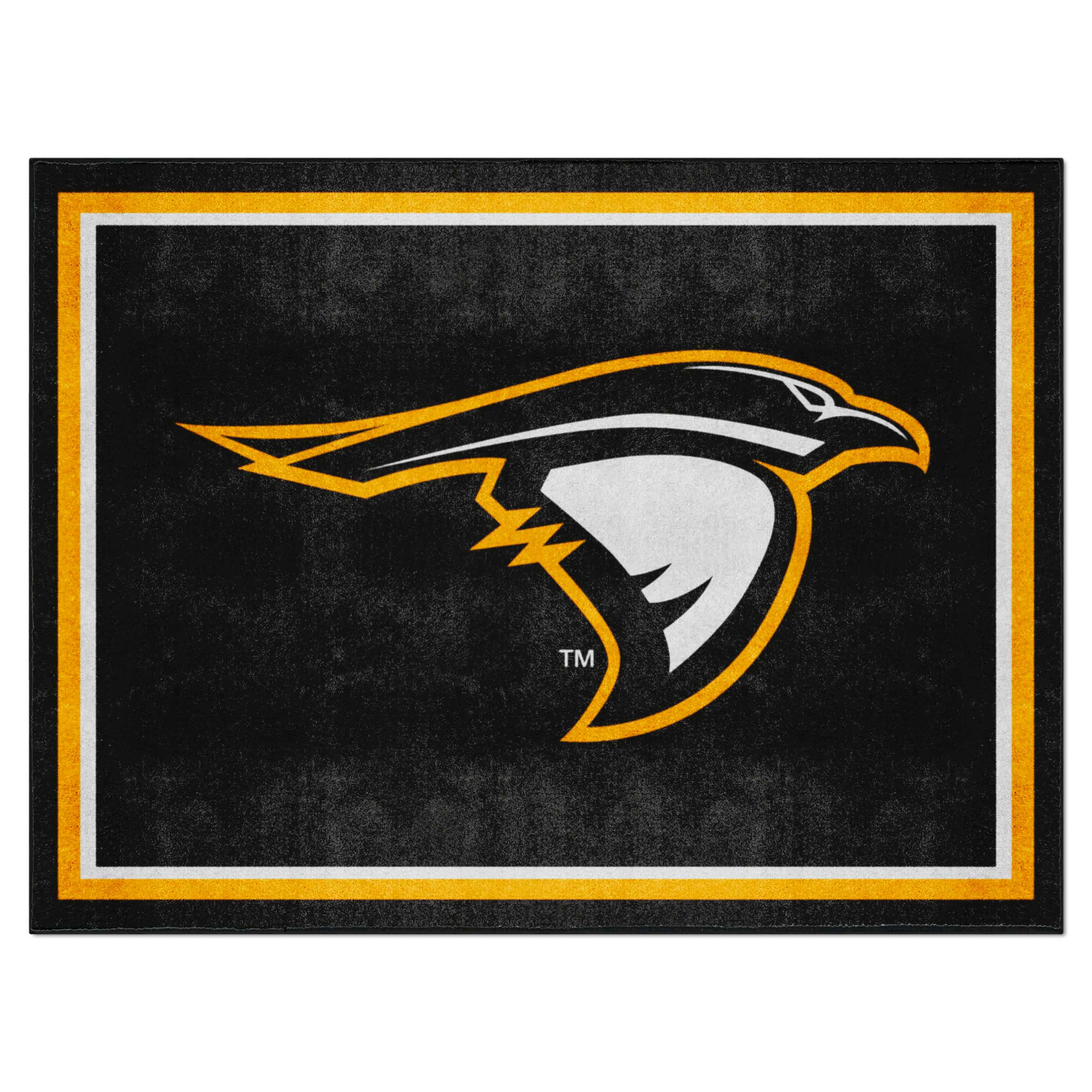 Anderson (IN) Ravens 8ft. x 10 ft. Plush Area Rug - Anderson (IN)